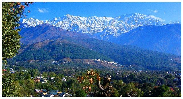 Angel'S Inn Resort Dharamshala Eksteriør bilde